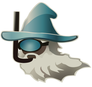 ThePoolWizard-Wizard 1